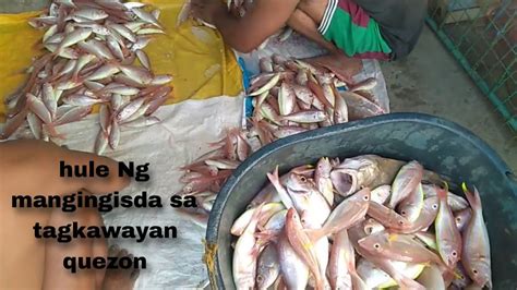 Comments on: Nagulat si Lodi sa Burat ng Mandaragat.